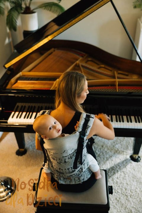 Nosidełko LennyUpGrade PRO z tkaniny żakardowej 100% bawełna , rozmiar standard - MELODY - POLONAISE