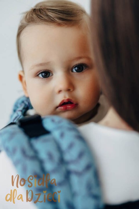 Nosidełko LennyUpGrade PRO z tkaniny żakardowej 100% bawełna , rozmiar standard - ZACZAROWANY ZAKĄTEK - FAIRY